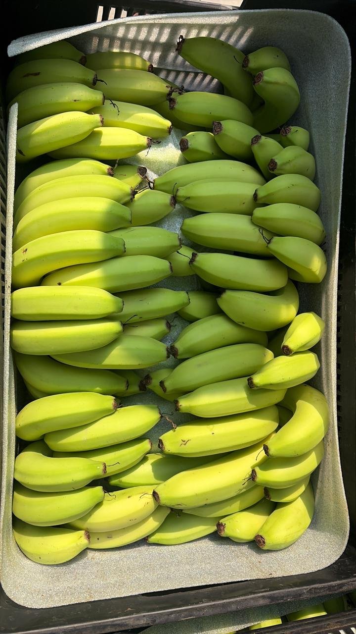 Farm2Store Wholesale Operations